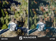 Load image into Gallery viewer, Lookout Photo Presets
